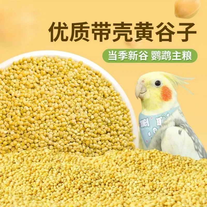 优质带壳谷子，激发小鸟剥壳天性，锻炼鸟喙