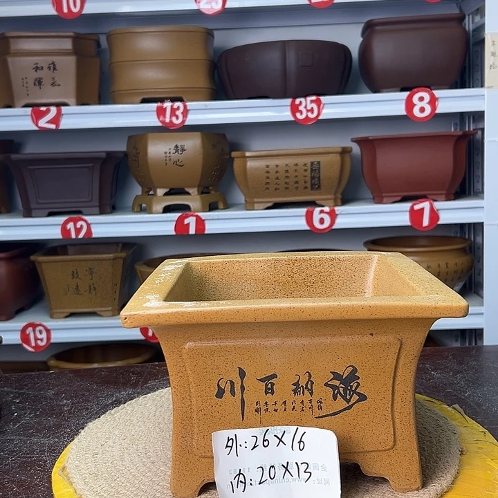 花盆紫砂你在一起