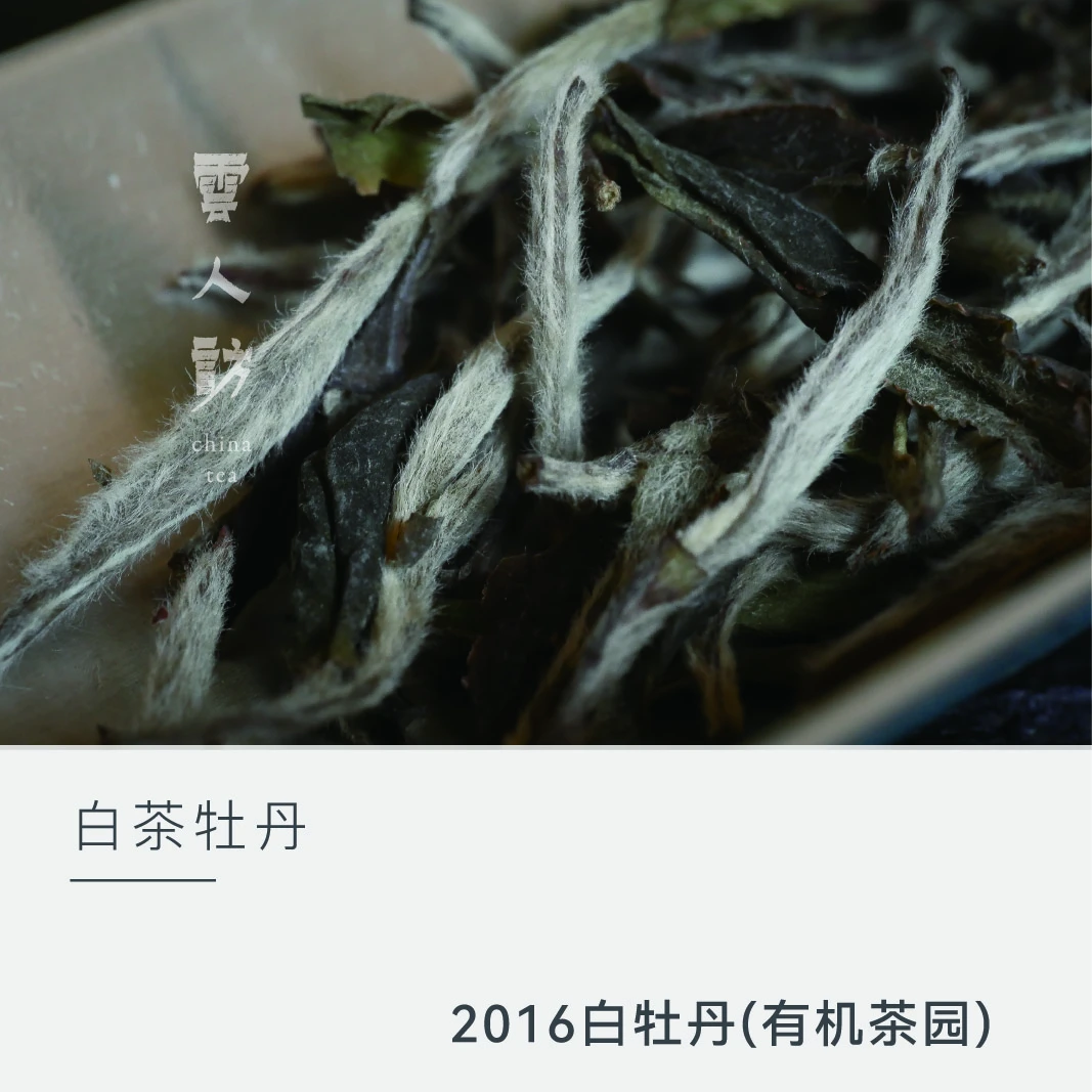 【云人访】银龙 2016年精品牡丹散茶 (欧盟认证有机茶园)