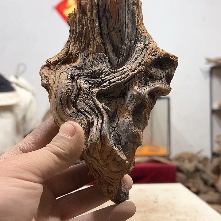 柏木抖*′我们的生活也