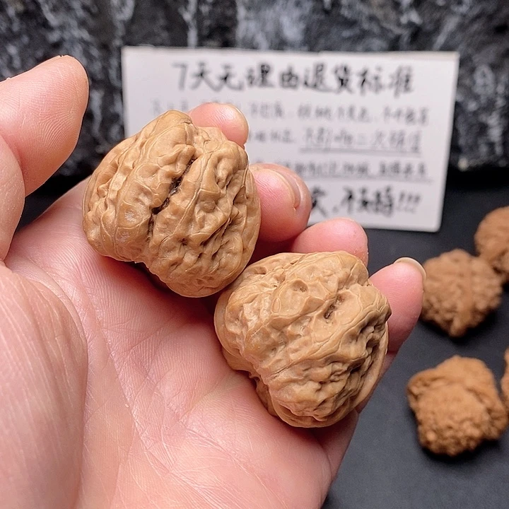 核桃39肚蜡皮蛤蟆