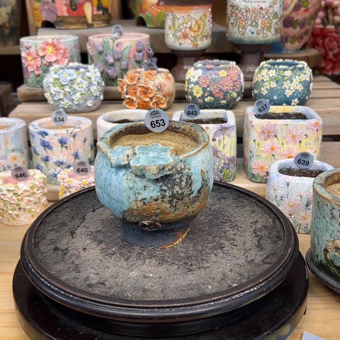 红陶毛****子653福利沃土