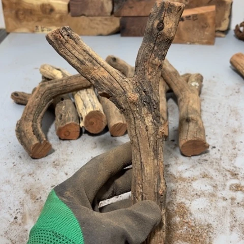 大果紫檀（缅甸花梨）玩**鸟