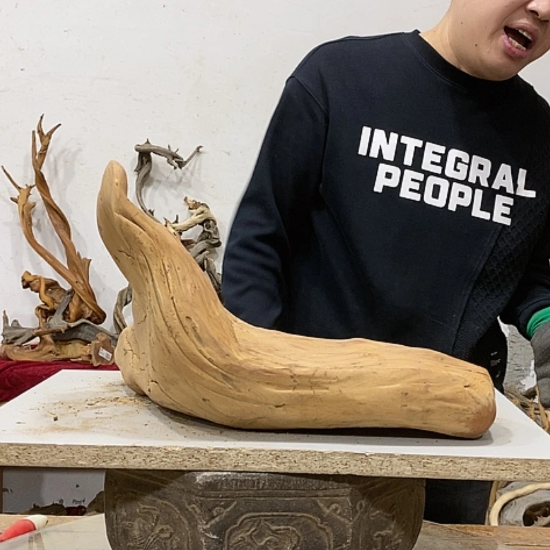 【闪购商品】柏木林***石我们都是好孩子