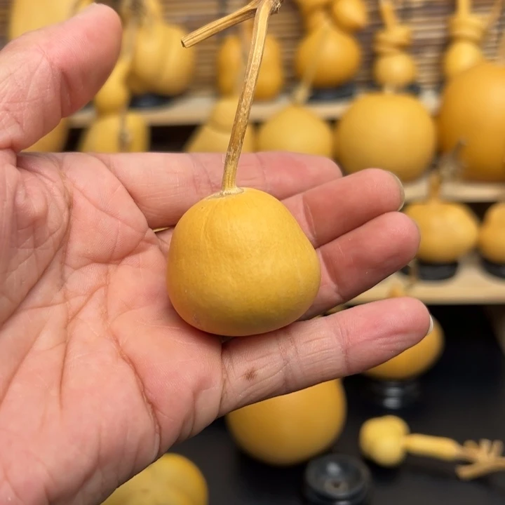 树****?55886...66699999999