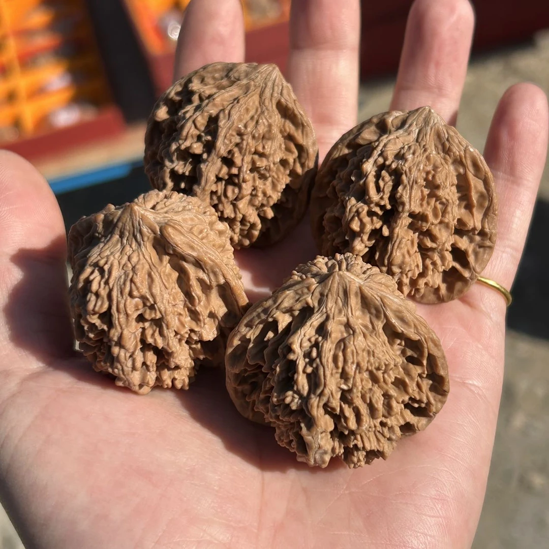 【曹掌柜精选】26 G64093-核桃满天星（全品）-多样性发一对-40mm