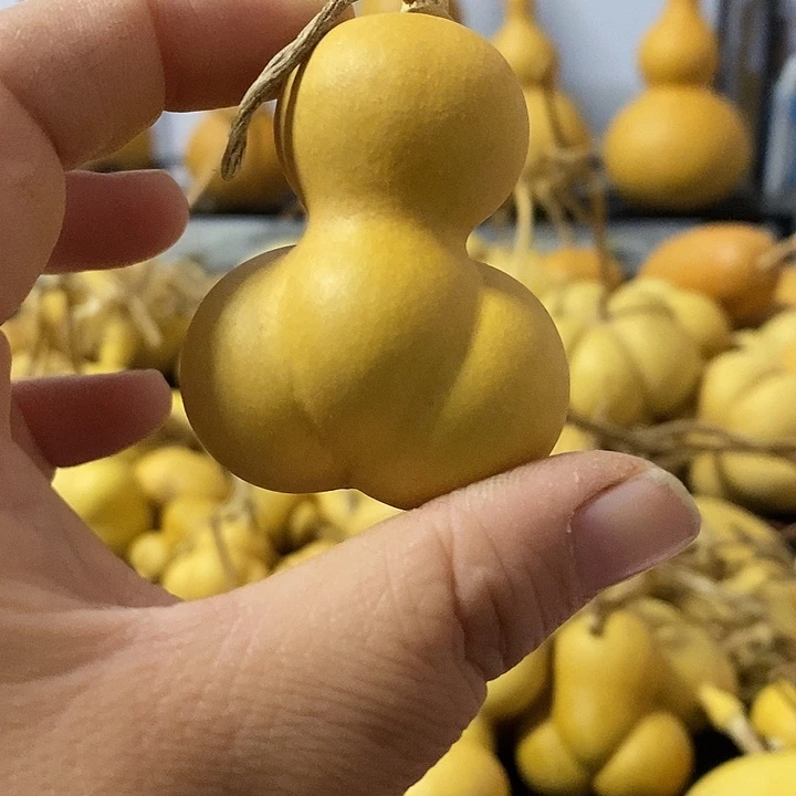 葫芦的颜色是蓝色的还是蓝色