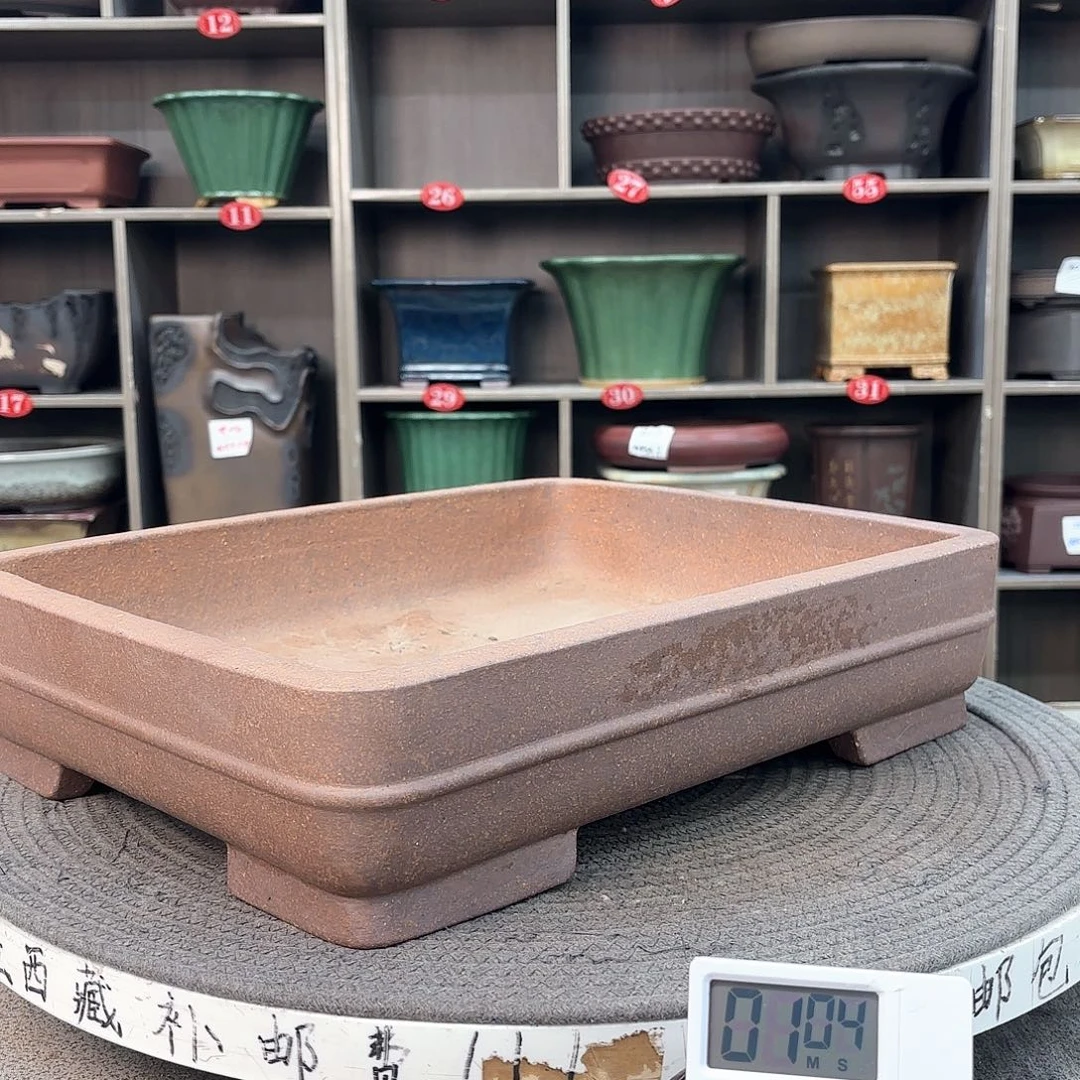 紫砂花盆松**下紫砂的花也太