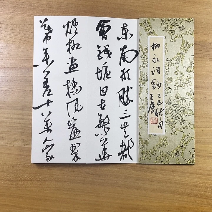 书法中书协会员作品