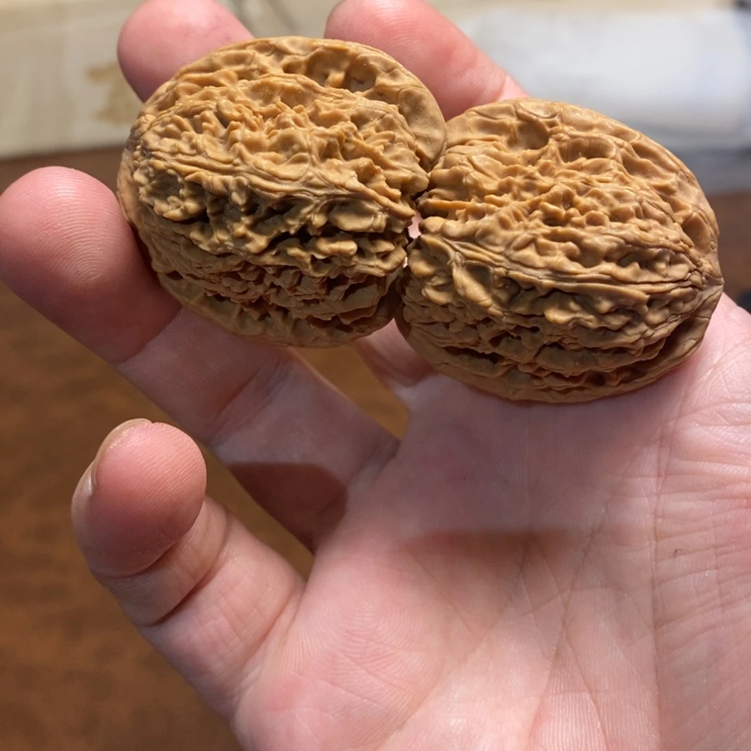 手串金刚菩提高炮40南疆