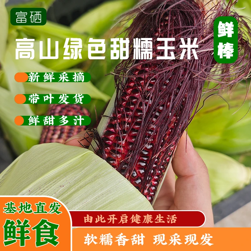 高山农场现采现发鲜食玉米棒子水果玉米甜糯可口带叶脆甜多汁健康