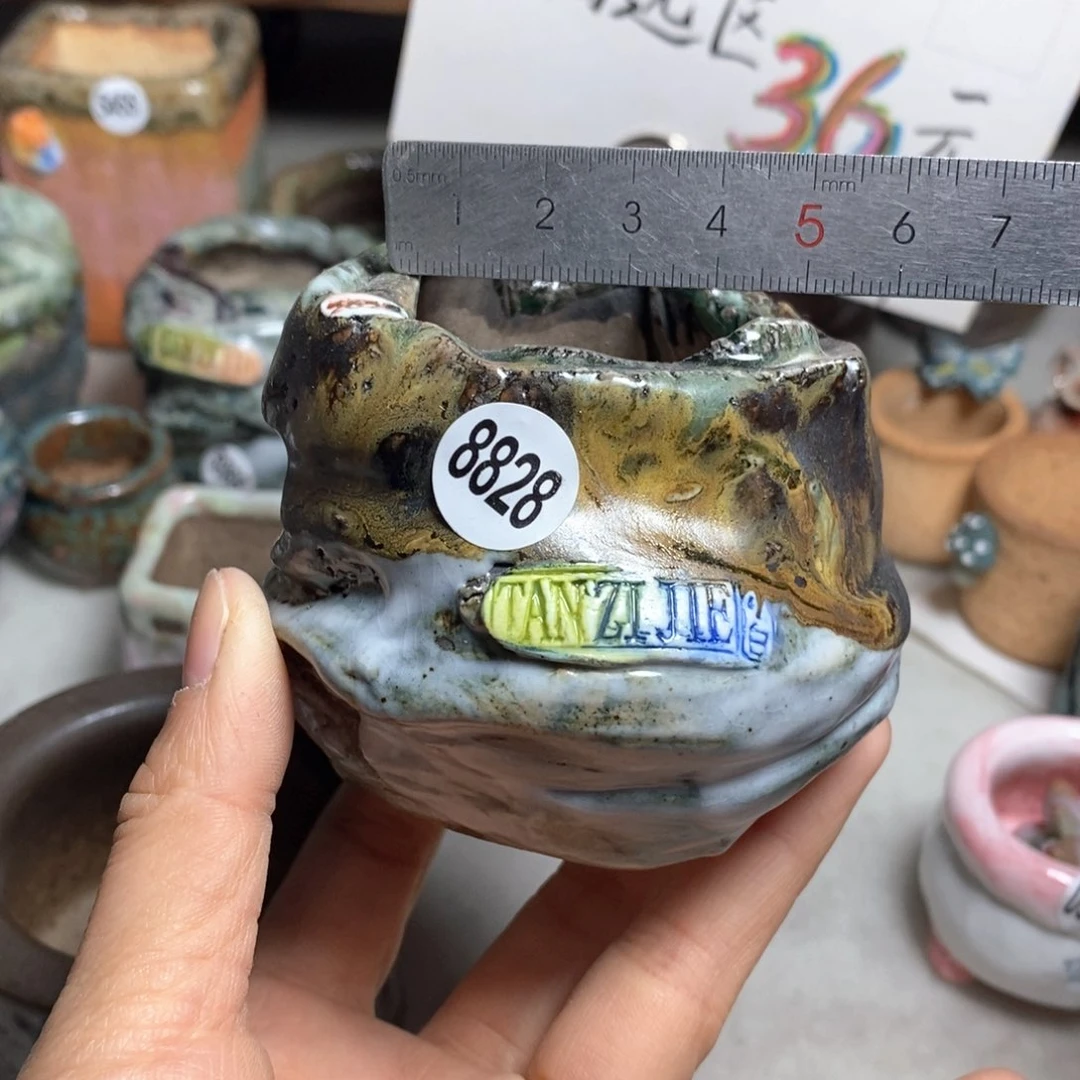 花盆双十二活动不退不换的原98元一个