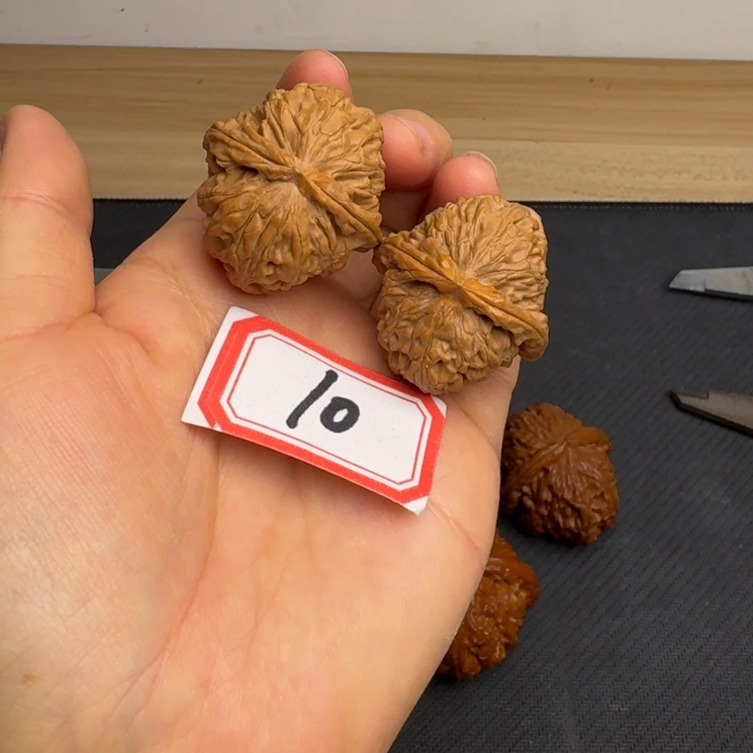 把件文玩核桃白狮子34尺