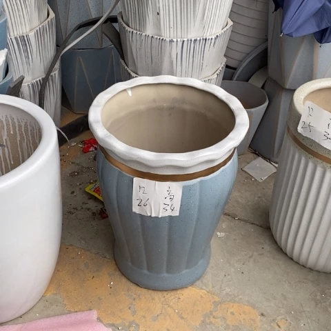 低腰花口金边蓝南瓜中口26/34