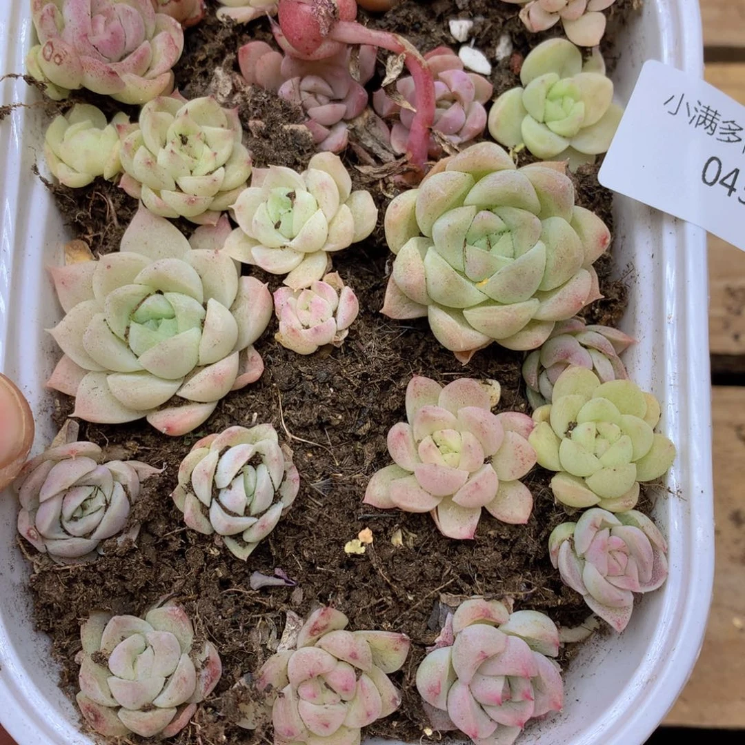 我要去看电影啦我043