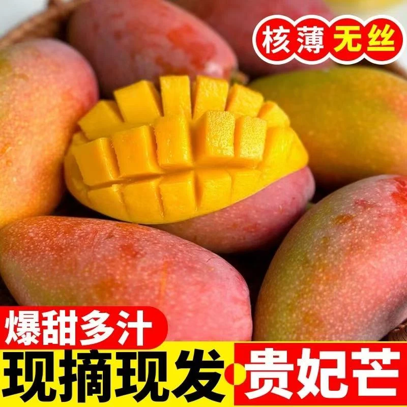 【 秋婷专属】云南小贵妃芒果新鲜现摘核薄肉厚爆甜多汁应季小芒果