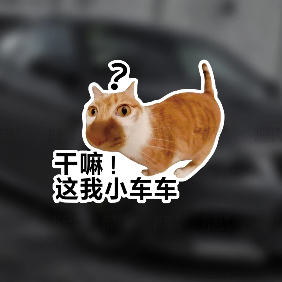 干嘛这我小车车哈基米车贴车尾创意个性装饰搞笑提示可爱猫咪贴纸