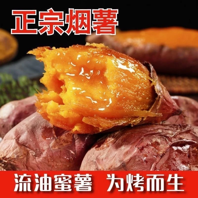 【申柯瑜】山东烟薯25号新鲜糖心红心蜜薯沙地番包邮10斤农家红薯
