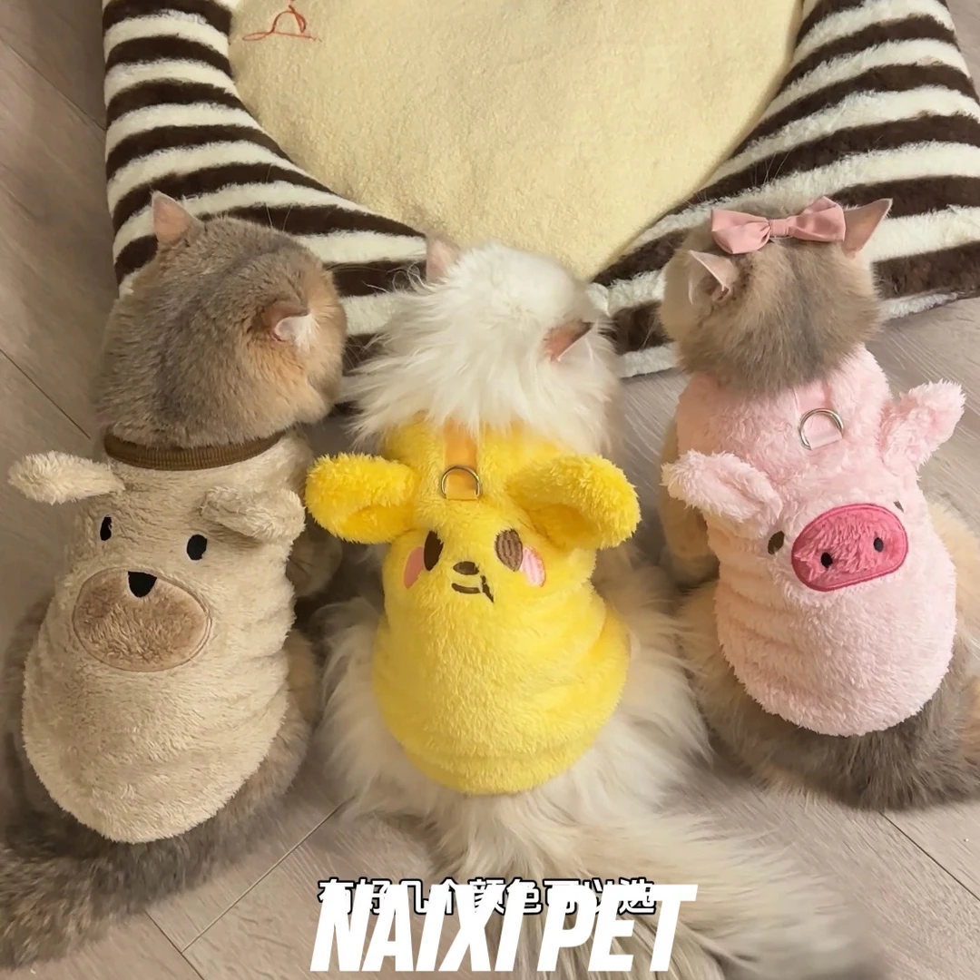 金三柜同款猫咪金渐层秋冬衣服套头保暖宠物服装狗狗背心可爱拍照