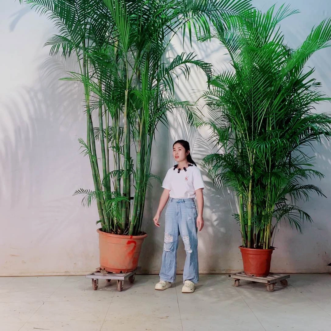 无花朵仁****昌168888888