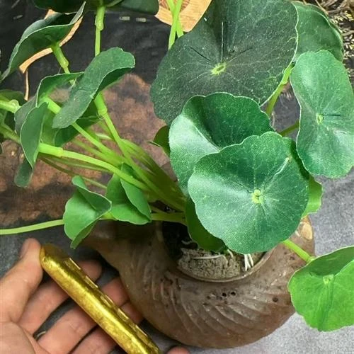 29-精选家居摆件-喜庆节日摆件-SG