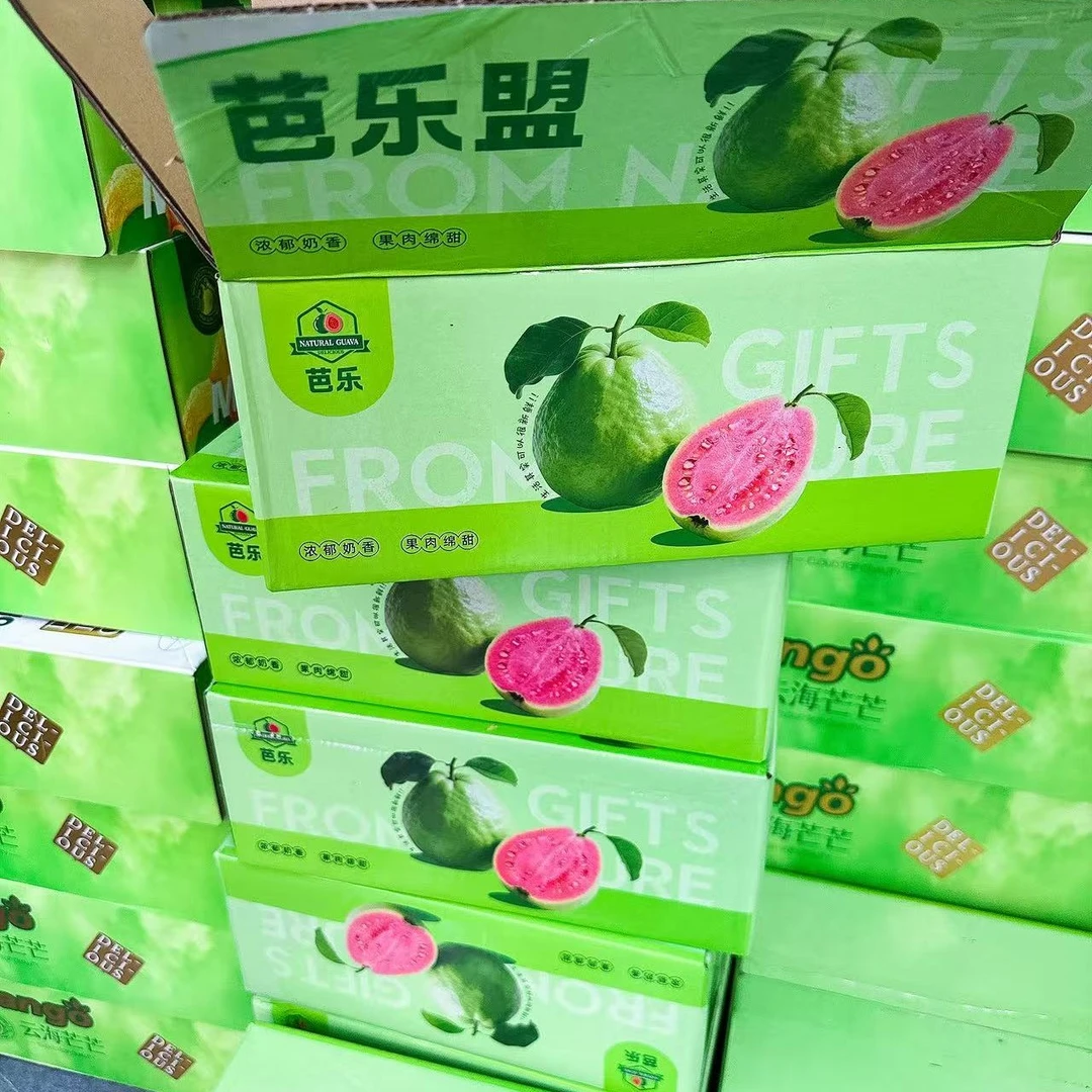 奶油芭乐礼盒 3-5枚果