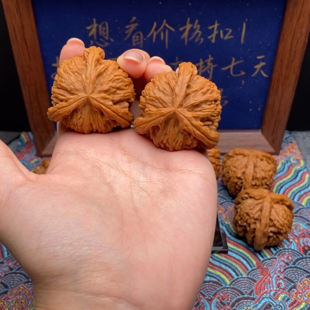【闪购商品】乐**观白狮