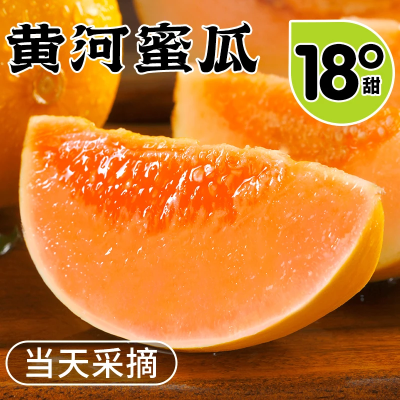 黄河蜜瓜甜瓜新鲜水果应季黄金脆香瓜哈密瓜甘肃民勤包邮坏果包赔