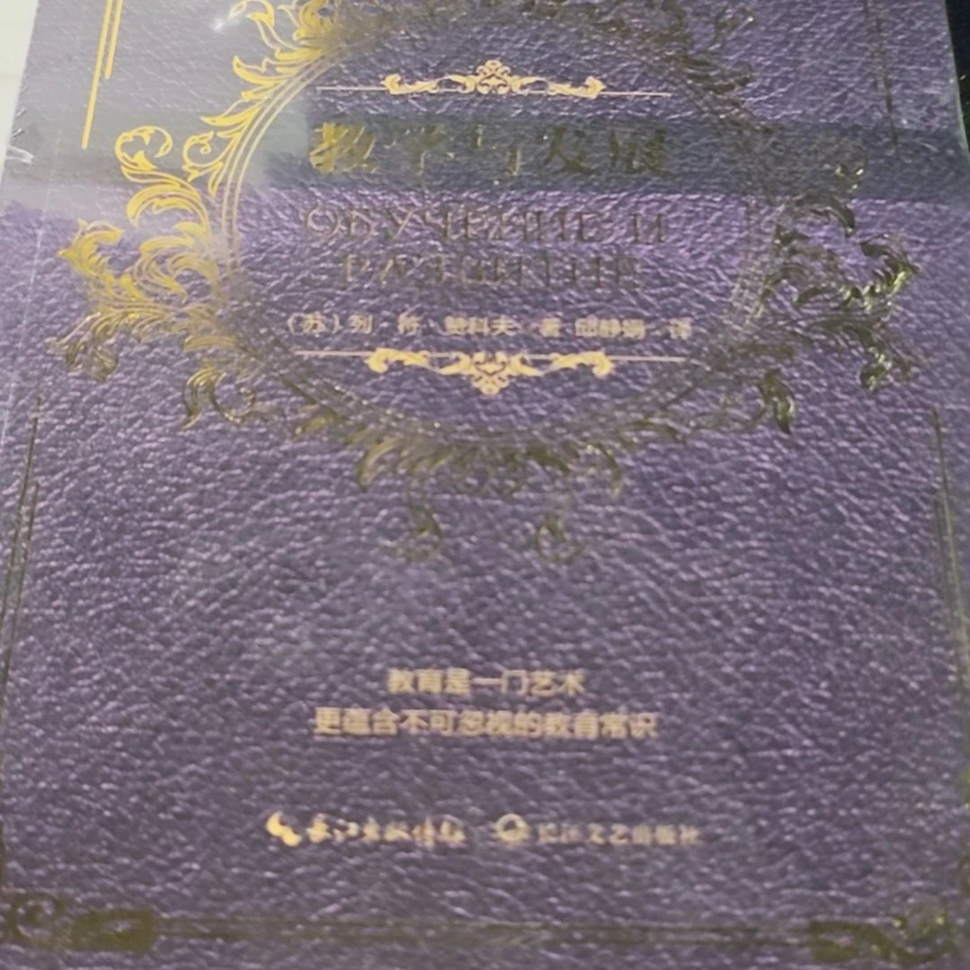 教育与发展平装塑封库存书