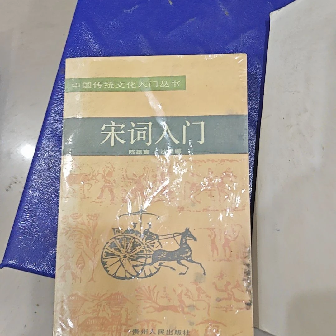 宋词入门，中国传统文化