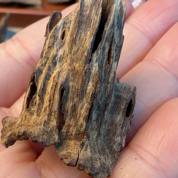 摆件沉香海南霸王岭包头沉水2.9克