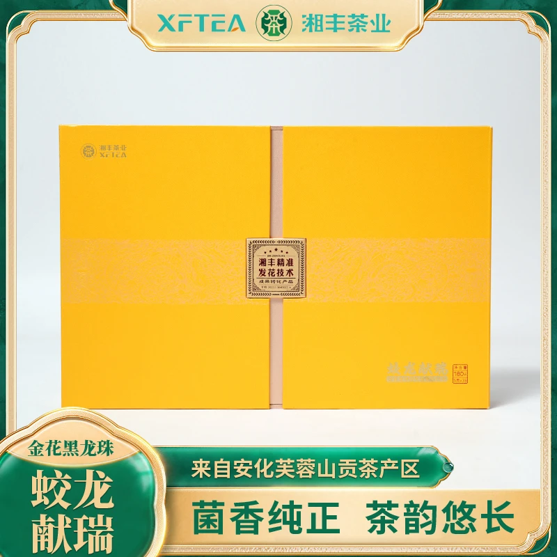 湘丰一号金花菌种精准发花技术转换成果蛟龙献瑞金花黑龙珠180g