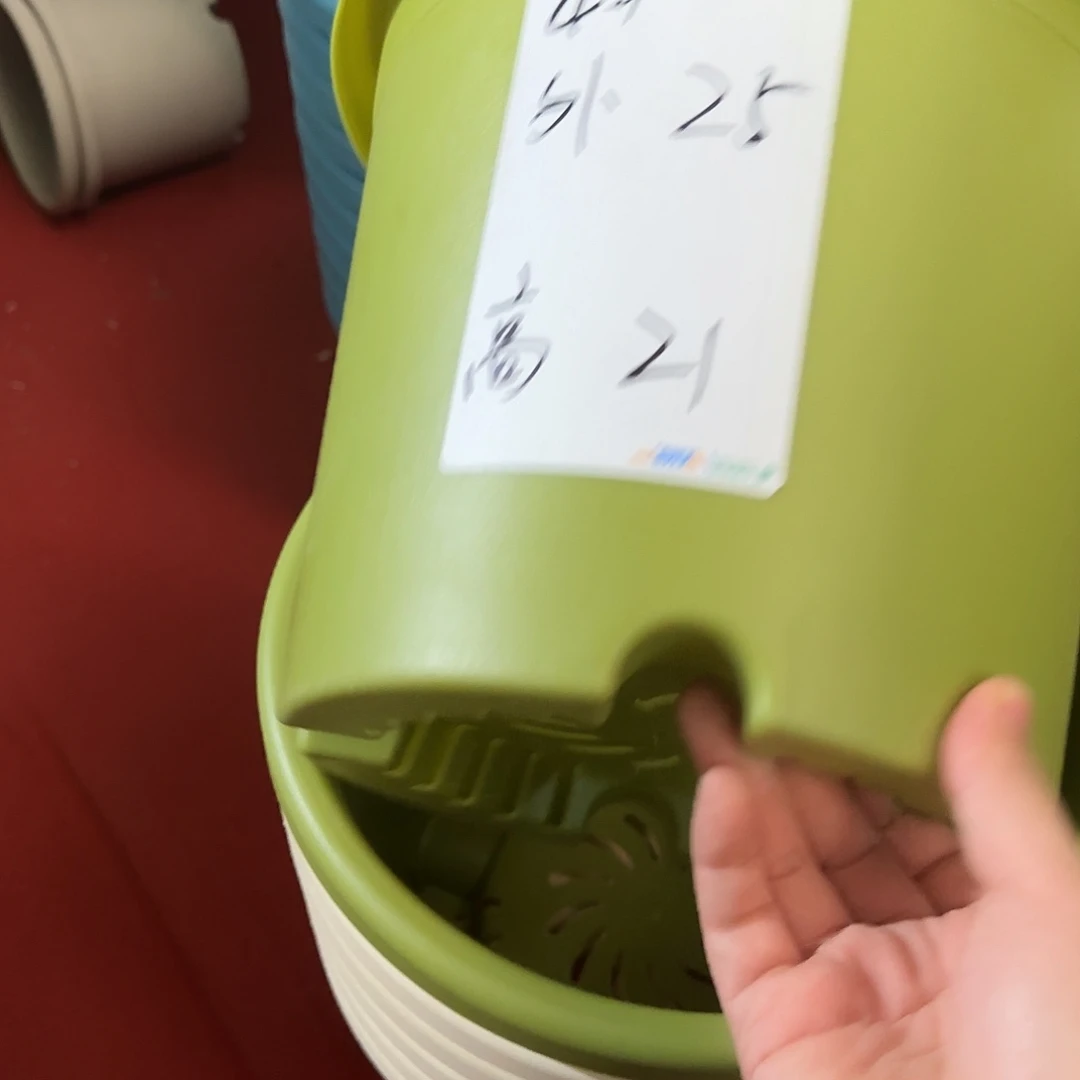 树脂四季4号带托5个果绿