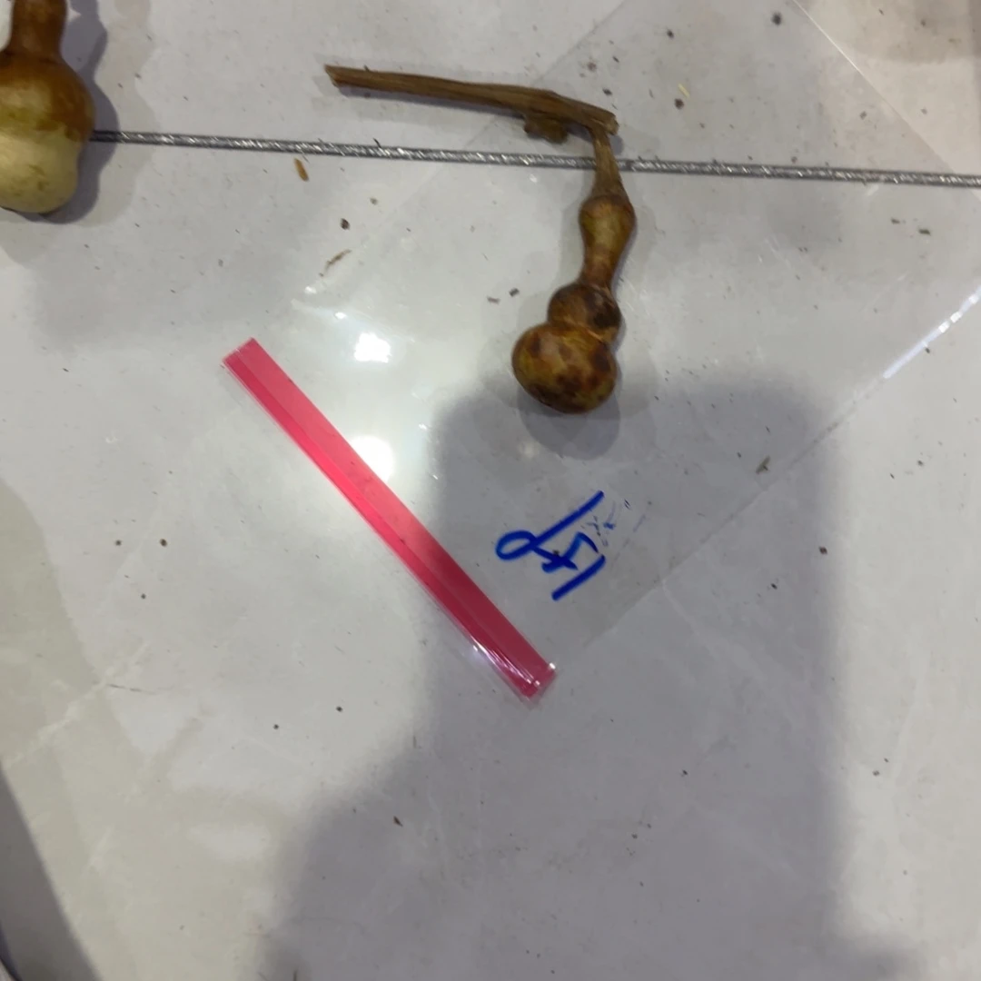 波***青皮不包成青皮不包成