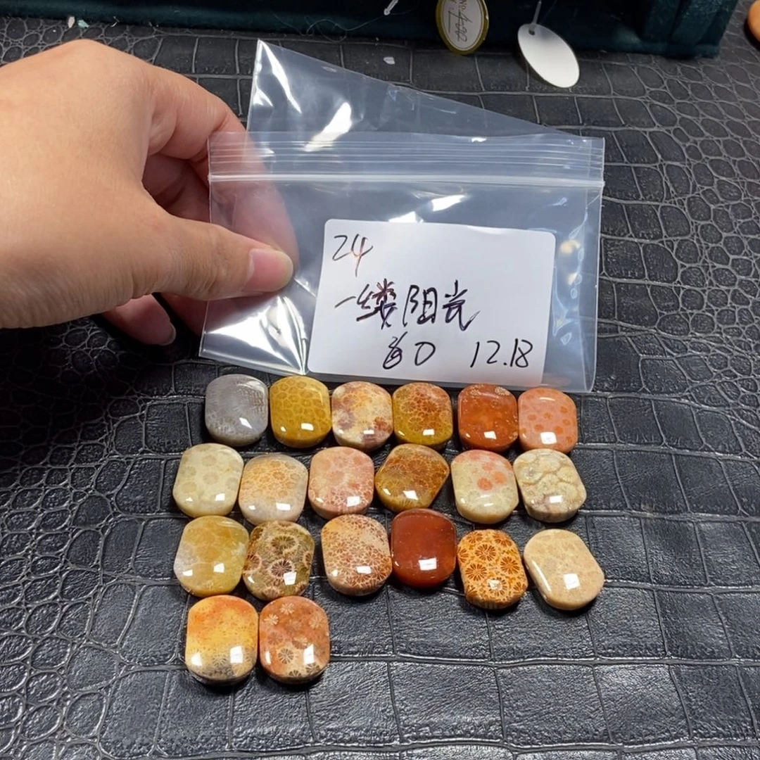 ****光硅化珊瑚（珊瑚玉）未镶嵌珠宝半成品24