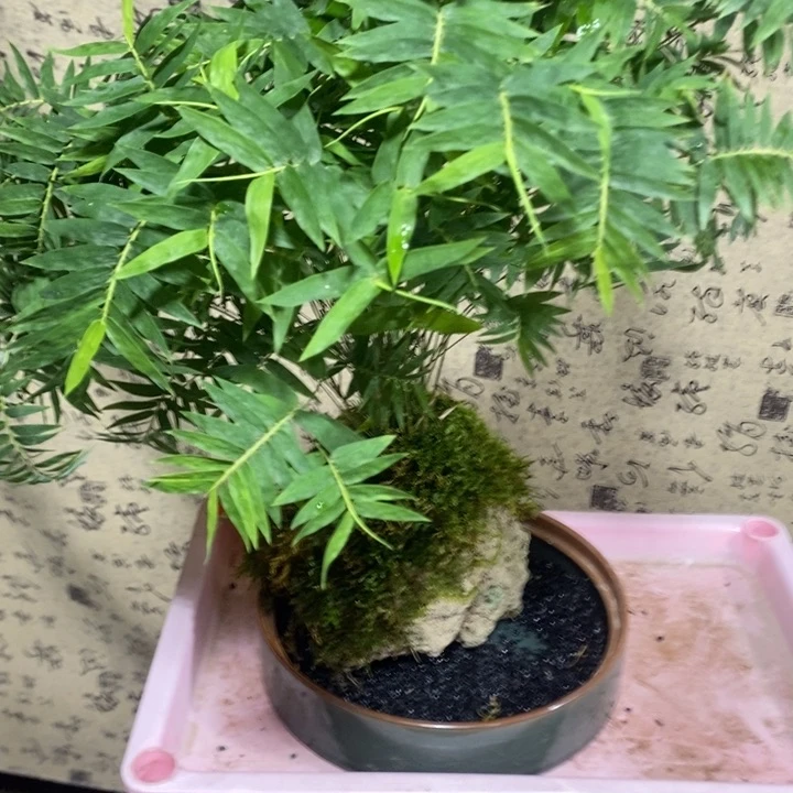 C退款拉黑一物一拍189