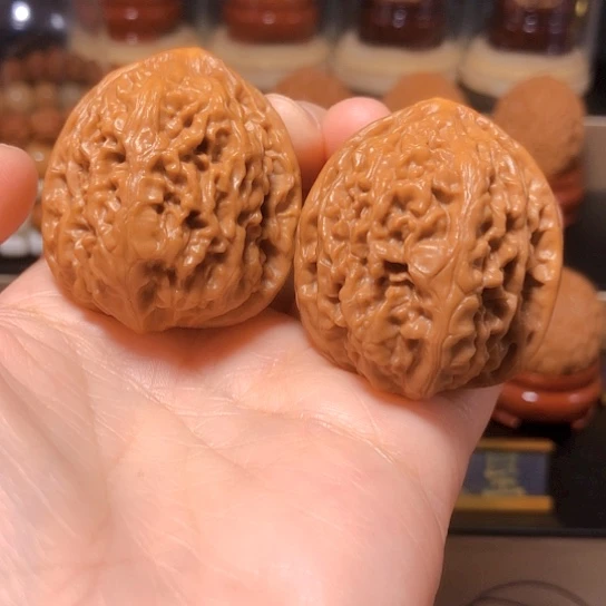 野生小众：精品核尊