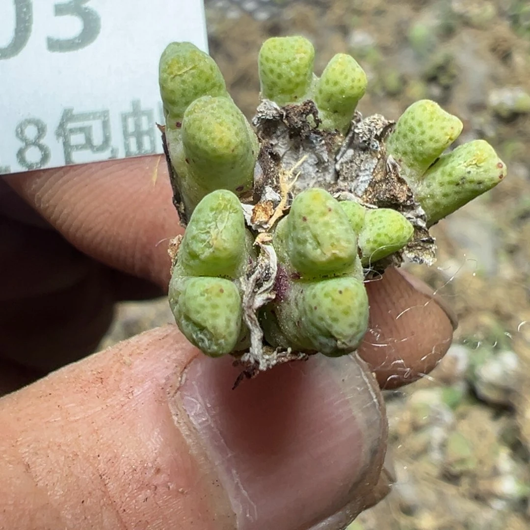 【闪购商品】 403。