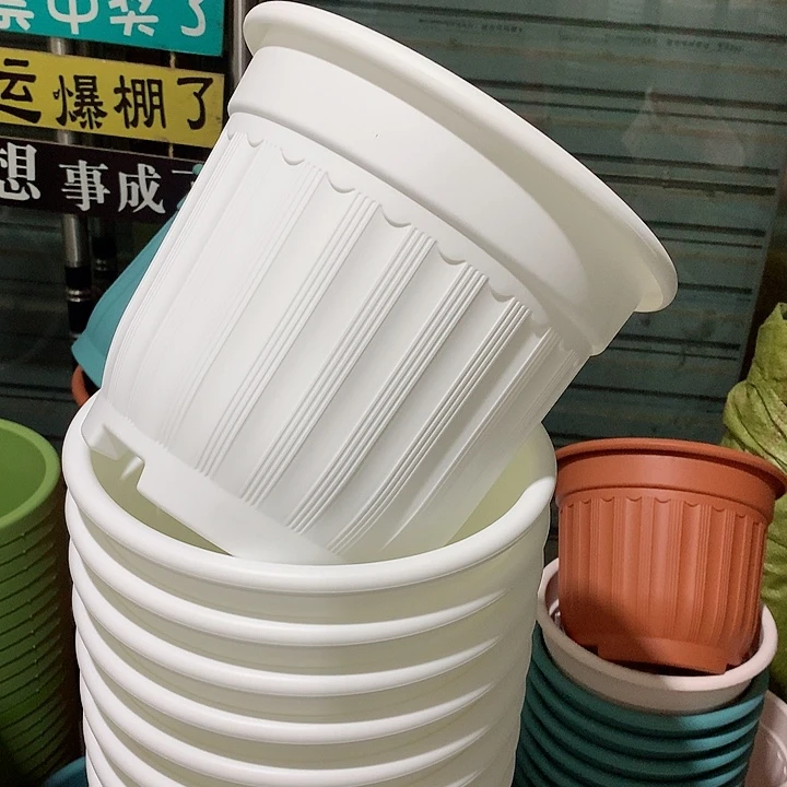 罗马口28高24白4个无托
