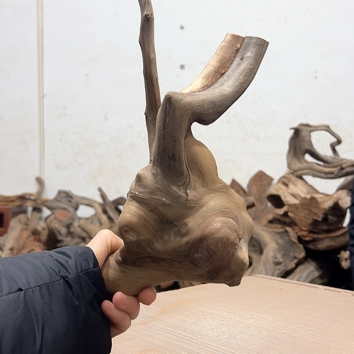 柏木欣*我们的生活是以一个