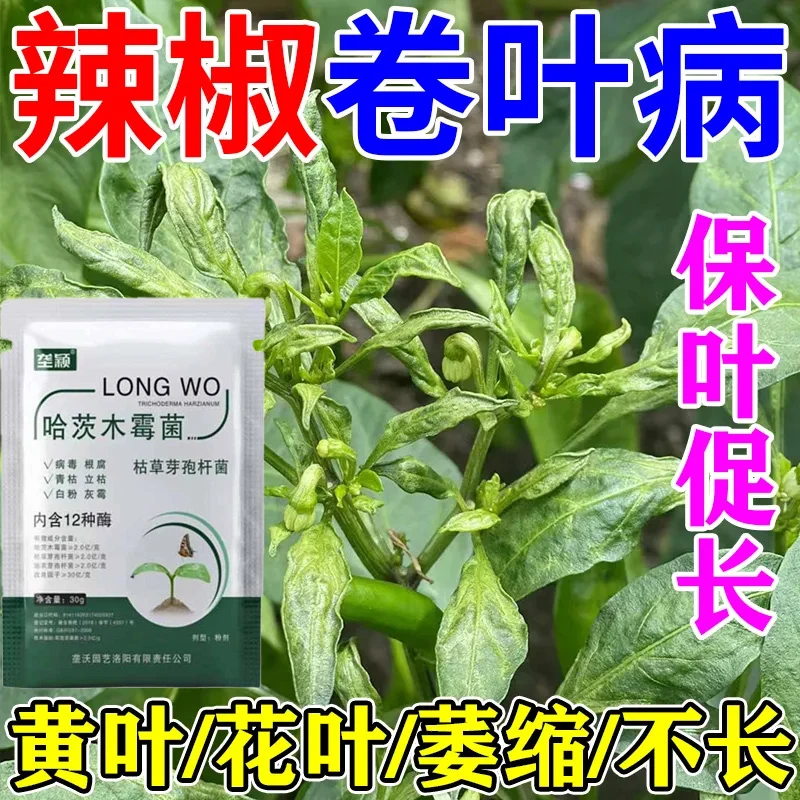 辣椒卷叶病专用微生物菌剂病毒病叶片皱缩畸形花叶病蔬菜病害肥料