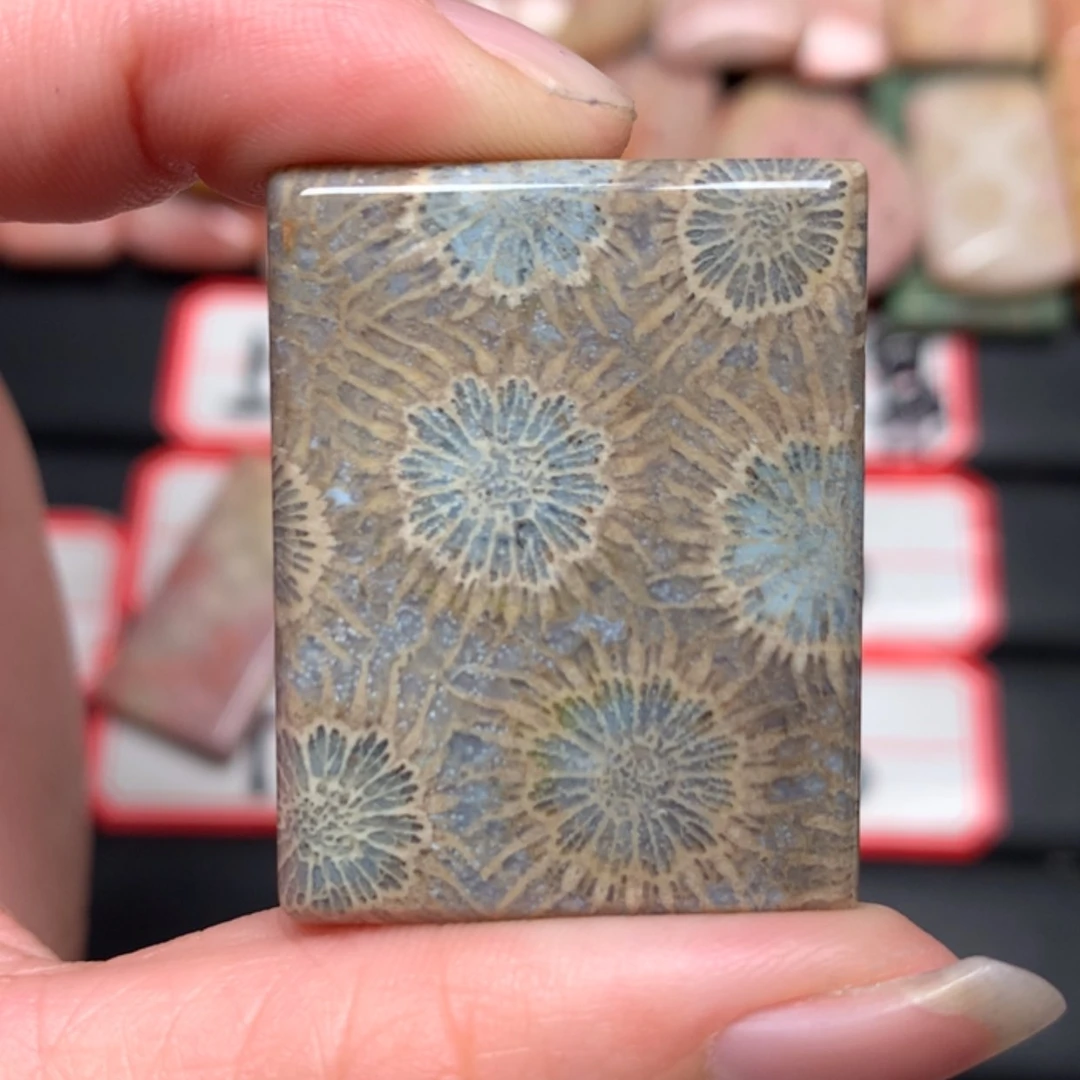 【闪购商品】硅化玉颈饰未镶嵌?**?