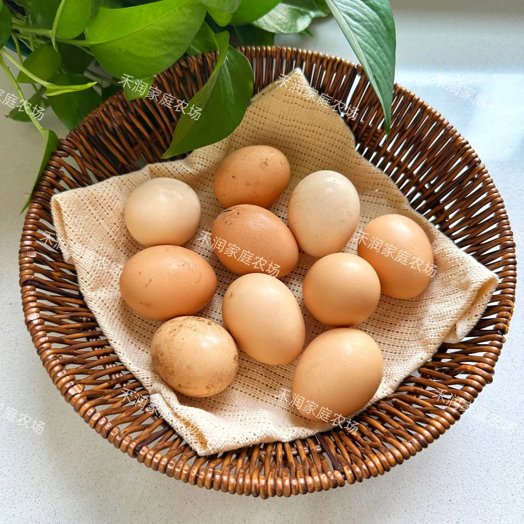 尝鲜装现捡现发林下散养健康营养美味粉壳柴鸡蛋土鸡蛋10枚装