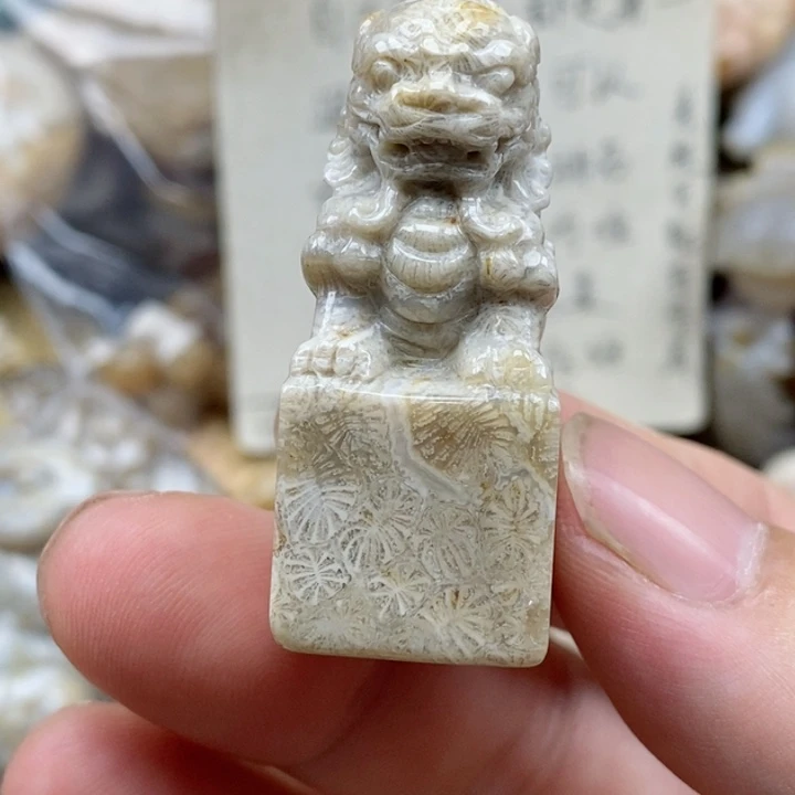硅化珊瑚（珊瑚玉）未镶嵌颈饰有瑕