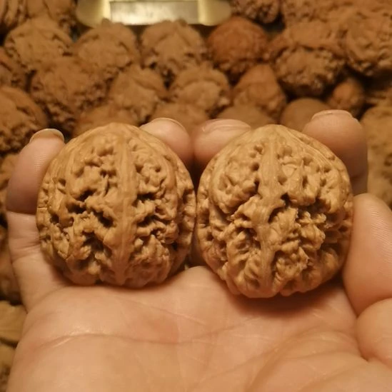 吊坠文玩核桃粗筋