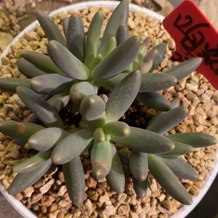 咱***肉8888888888888888888