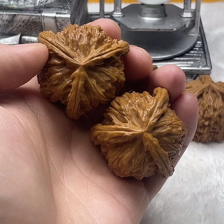 福利来啦来了打脸