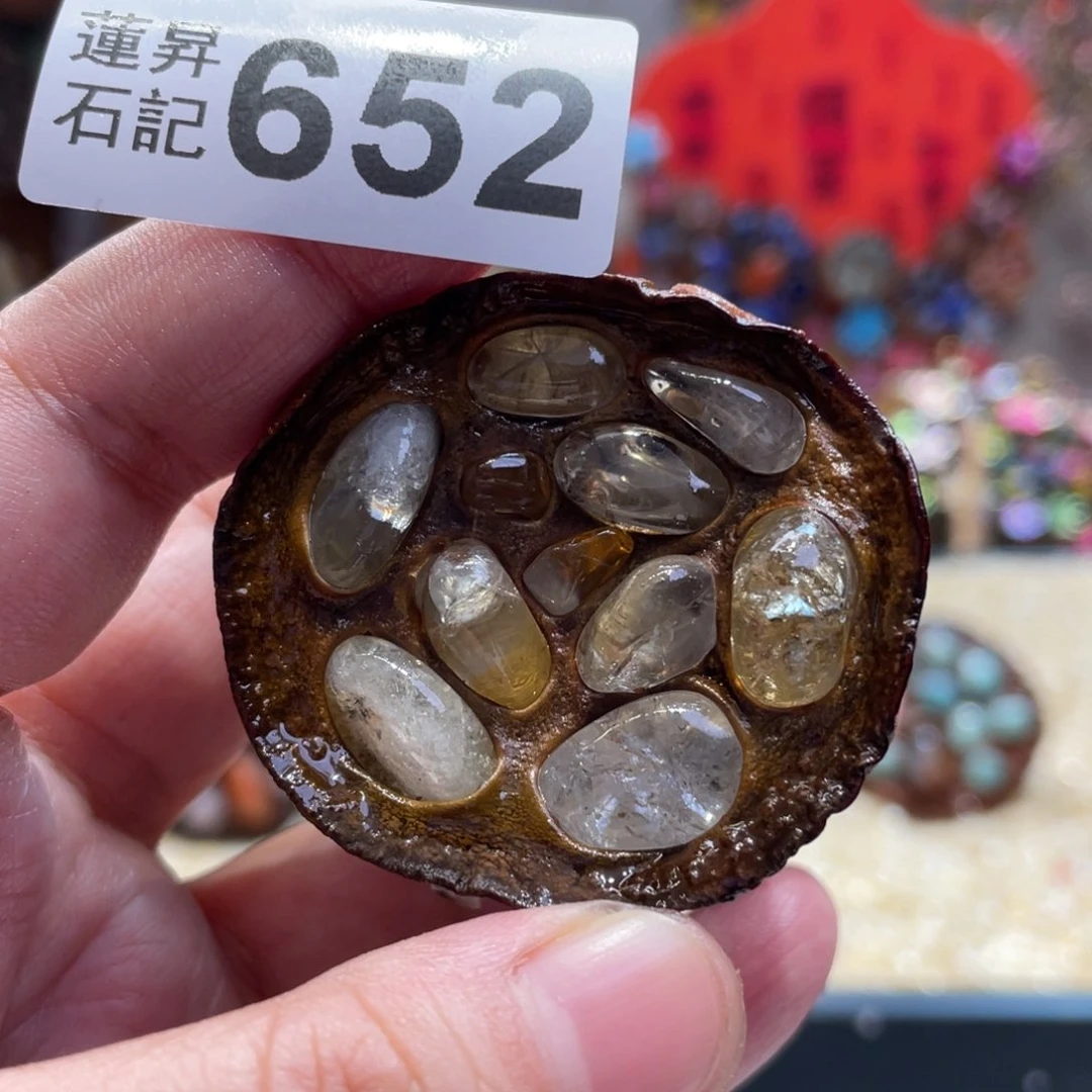核桃木/黑胡桃（胡桃木）652