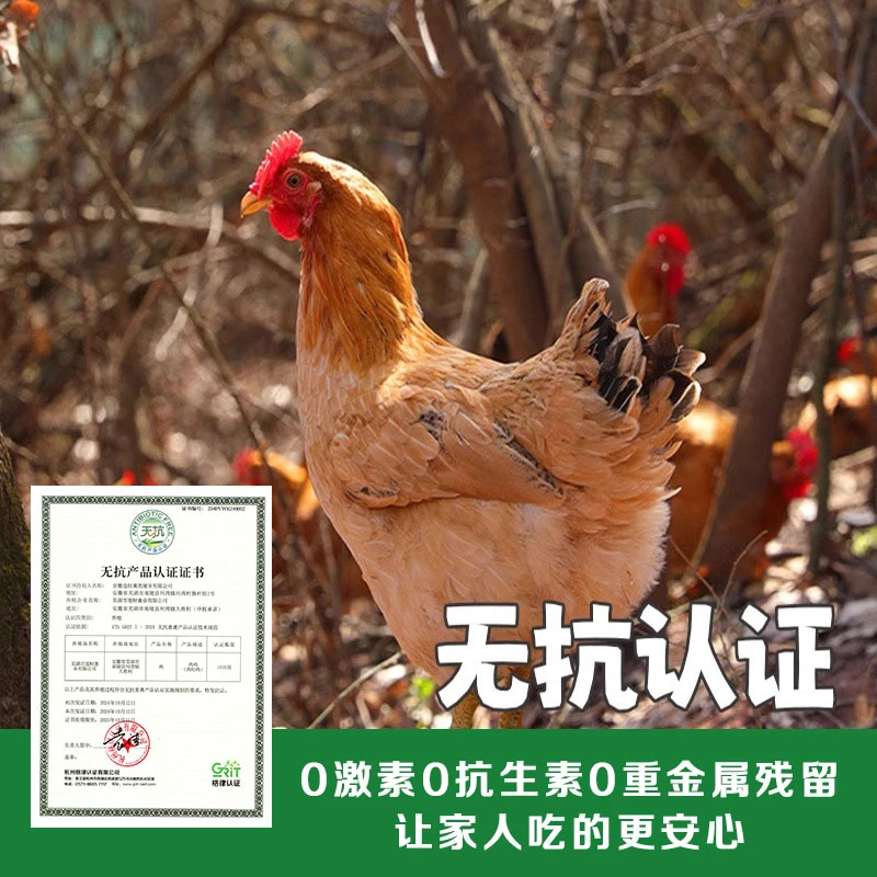 无抗童子鸡1Kg*2只装