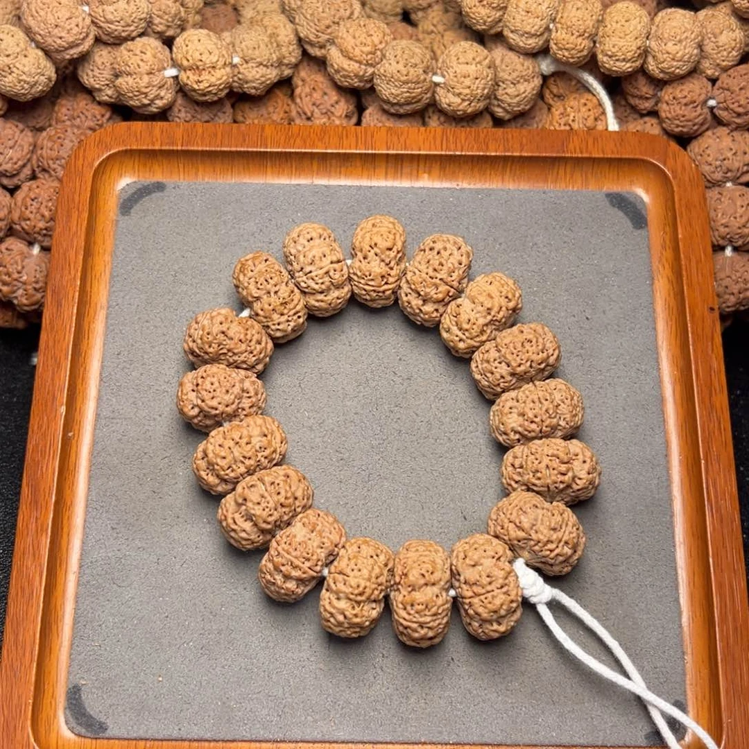 菩提1号尼泊尔大金刚25五星梅花蜂王夹板